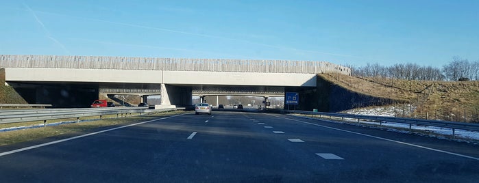 Ecoduct Herperduin is one of Rijksweg 50.