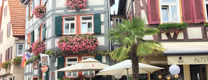 Hirsch Restaurant & Cafe is one of Lugares favoritos de Florian.