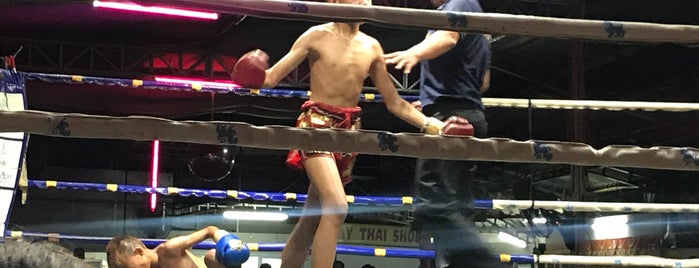 Muay Thai Thaphae is one of Chiang Mai Gyms.