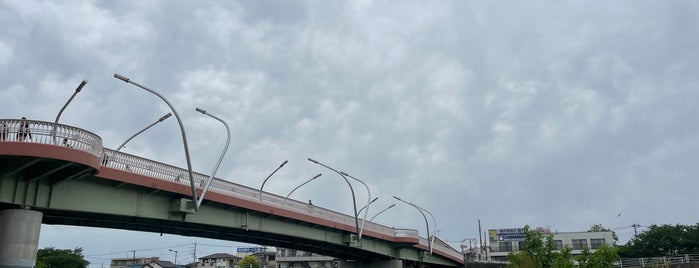 鴨池橋 is one of かながわの橋100選.