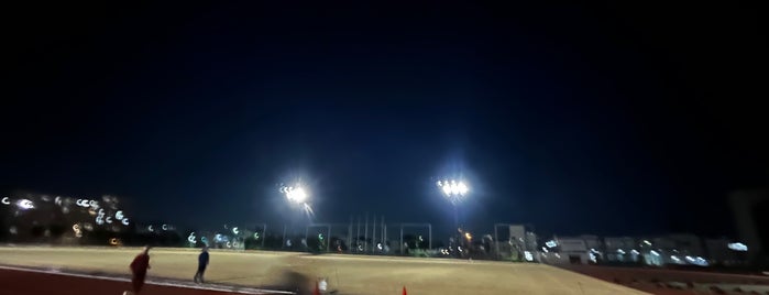Yamato Nadeshiko Stadium is one of サッカーを見たところ.