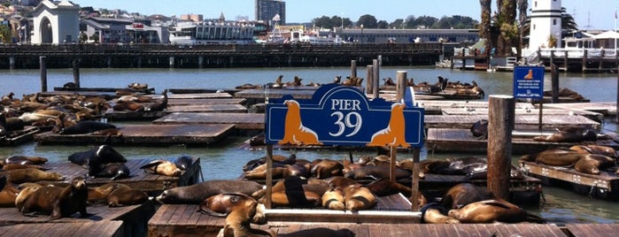 Pier 39 is one of 41 cosas que no puedes perderte en San Francisco.