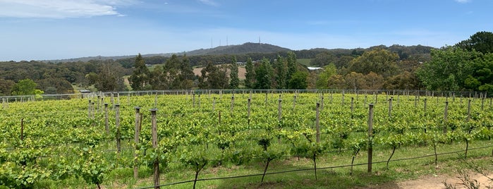 Ashton Hills Vineyard is one of A day in the Adelaide Hills.