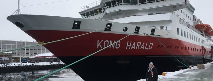 MS Kong Harald is one of Mike’s Liked Places.