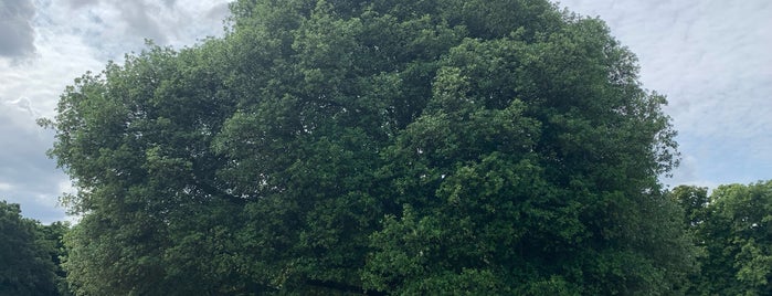 Old Royal Observatory Garden is one of London 2018.