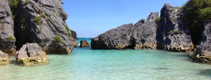 Jobson's Cove is one of Bermuda.