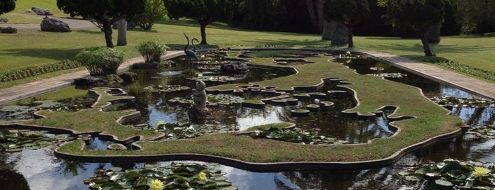 Palm Grove Gardens is one of Our Bermuda Honeymoon to do list.