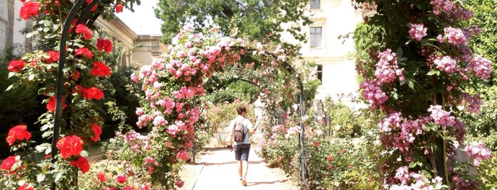 Jardin des Plantes is one of Posti che sono piaciuti a Silvia.