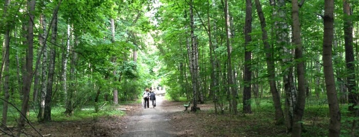 Большая Всехсвятская роща is one of สถานที่ที่ Anna ถูกใจ.