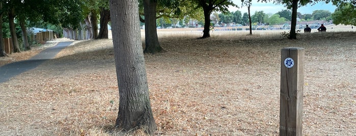 Broomfield Park is one of Parks.