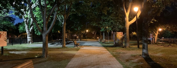 Parc des Royaux is one of Skate.