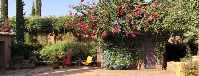 Piscine Beldi Country Club is one of Marrakesh.