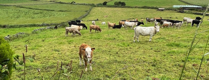 Sete Fontes, Rosais is one of Açores.