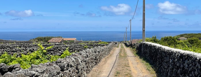 Museu Do Vinho is one of Terceira.