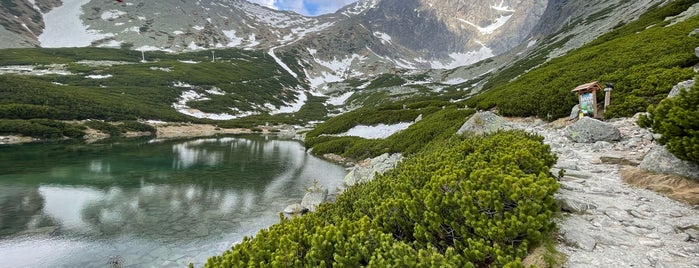 Skalnaté pleso is one of Nieko’s Liked Places.
