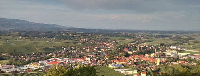 Stari Grad Slovenske Konjice is one of Slovenski Gradovi.