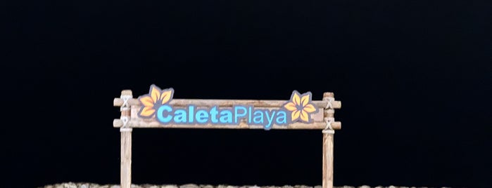Caleta Playa is one of Lugares guardados de Michelle.