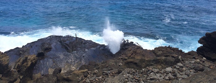 Hālona Blowhole Lookout is one of Oahu To Do List.