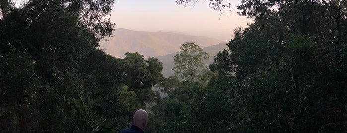 Mount Glorious is one of Brisbane's Best.