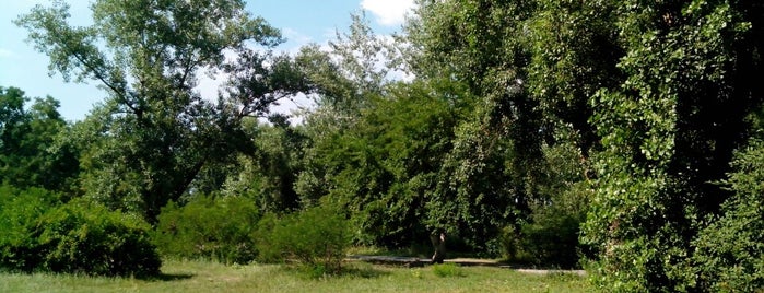 Парк «Наталка» is one of Lugares favoritos de Alex.