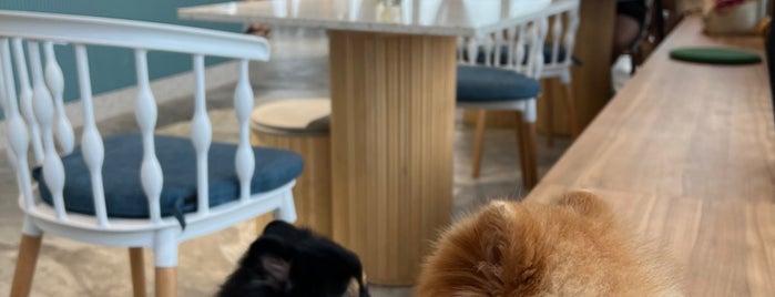 Poof Cafe is one of Pet friendly.