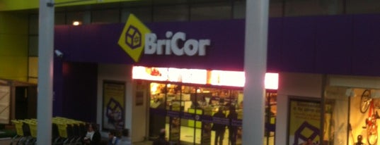 Bricor is one of rockambolesk.