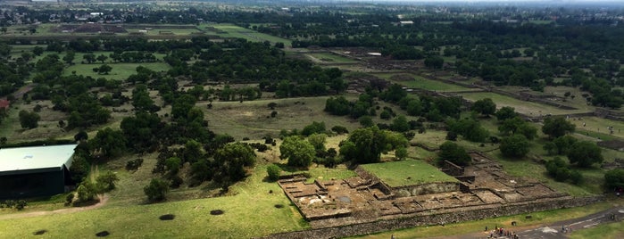Jardín Botánico de Teotihuacán is one of Tempat yang Disukai Enrique.