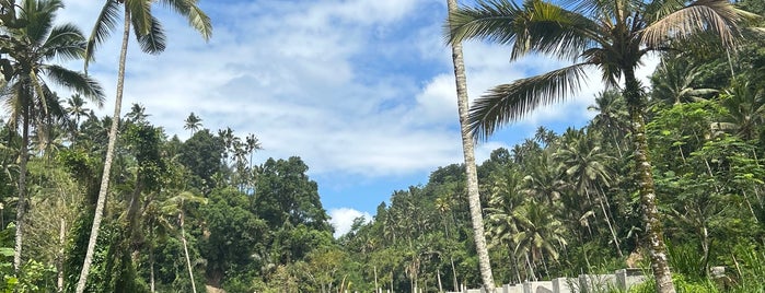 Telaga Waja Rafting is one of Ubud gez.