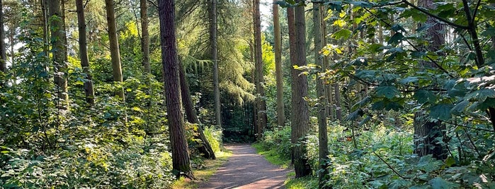 Pentland Hills Regional Park (Flotterstone) is one of Edinburg-Gezilecek Yerler.