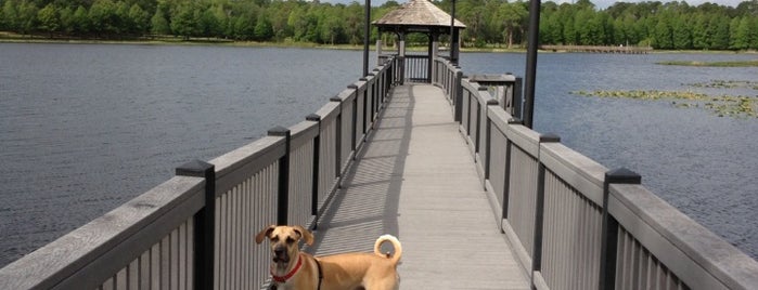 Hamptons Dock / Turkey Lake is one of Lizzieさんのお気に入りスポット.