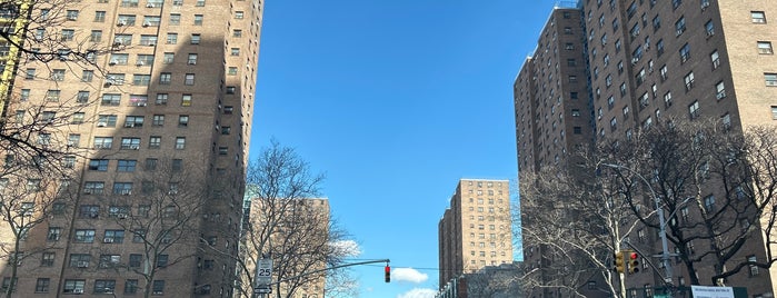 East Harlem is one of Usual spots.