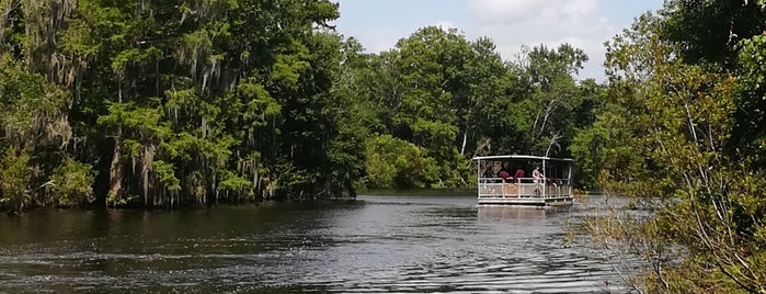 Jean Lafitte Swamp Tour is one of Kimmie's Saved Places.