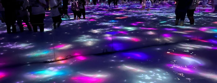 teamLab Planets is one of Japan.