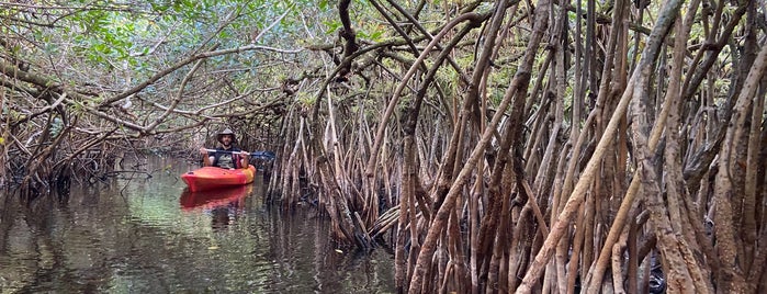 Turner River Canoe Access is one of Süd-Florida / USA.