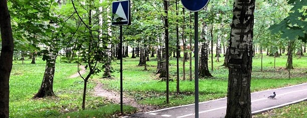 Городской Парк "Березовая Роща" is one of Lieux qui ont plu à Roman.
