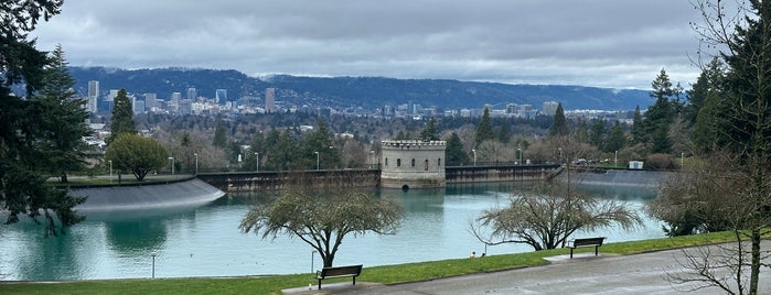 Mt. Tabor Park is one of Portland Adventures.