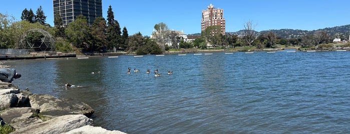 Lake Merritt is one of San Fran.