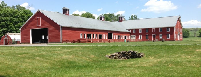 Old Chatham Sheepherding Company is one of hometown Columbia County, NY.