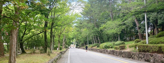 緑道 is one of サイクルロード.