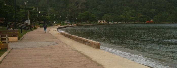 Williams Bay is one of Amyさんのお気に入りスポット.
