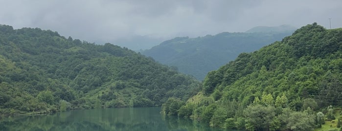 Serindere Köyü is one of Kocaeli & Sakarya & Yalova.