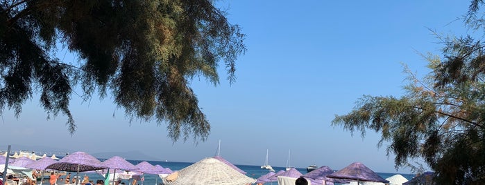 Ilayda Beach is one of Sahil & Plaj.