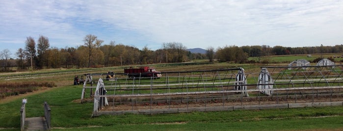 Sherman Farm is one of NH.