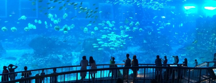 Marine Life Park is one of Touring-1.