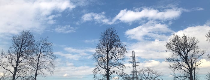 岸根公園 is one of 神奈川県の公園.