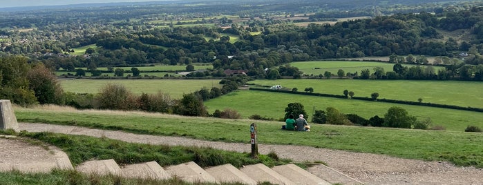Box Hill Viewpoint is one of Epsom.