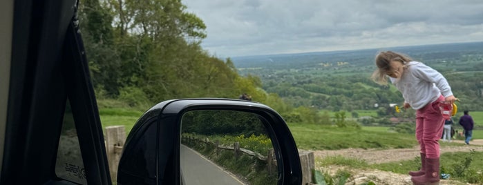 Box Hill Viewpoint is one of Epsom.