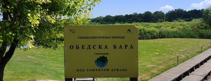 Rezervat Prirode Obedska Bara is one of Beograd, to-go-list.