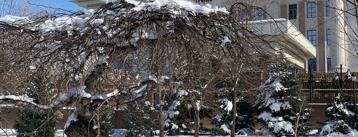 Президентский парк is one of Outdoor.