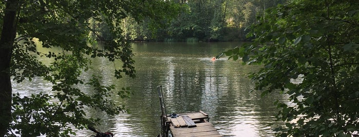Заводское озеро is one of клевые места.